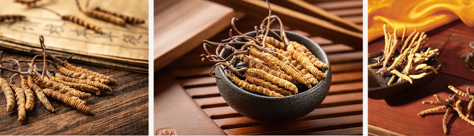 Bulk Cordyceps Extract
